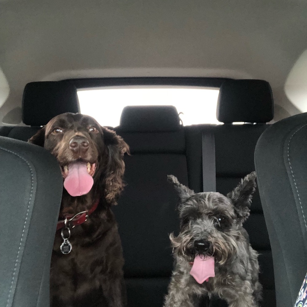 Meet your Posher, Beth